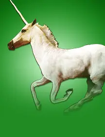 Wild Unicorns-game-img