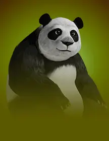 Panda Money-game-img