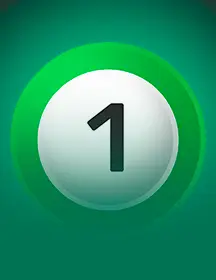 Bingo Star-game-img