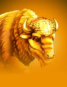 Immortal Ways Buffalo SE-game-img