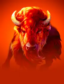 Book Of Majestic Wild Buffalo-game-img