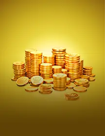 Fortune Coins-game-img