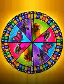 VZN Spin A Win Wild-game-img